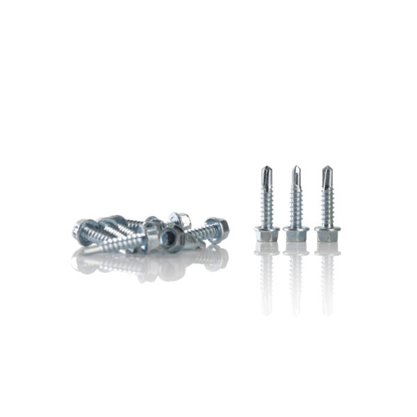 Individual Carbon Steel Tek Screws