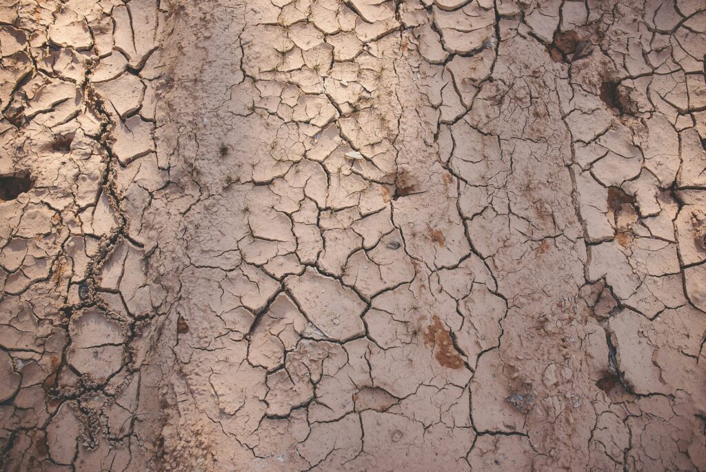 clay soil