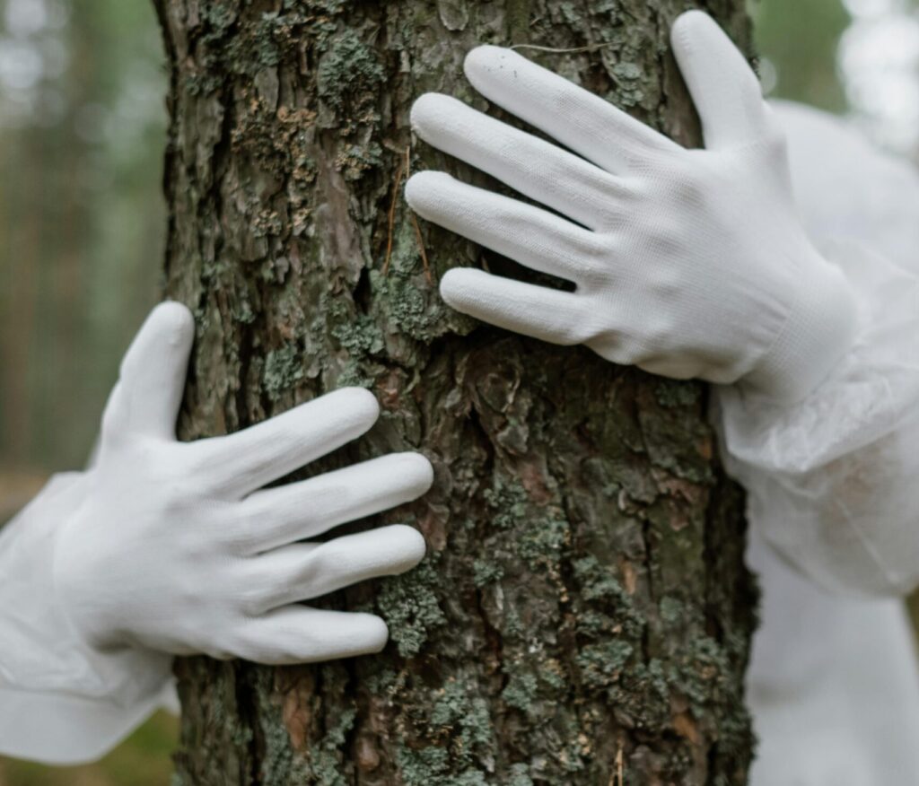 tree preservation order