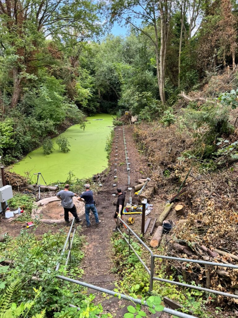 Boggy site