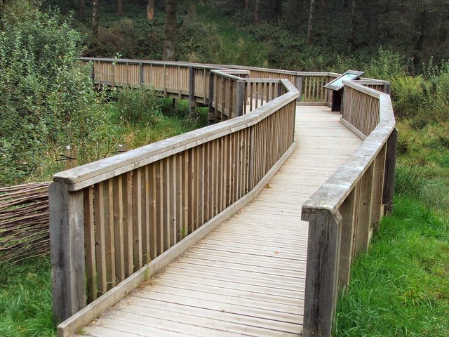 boardwalk ground screws