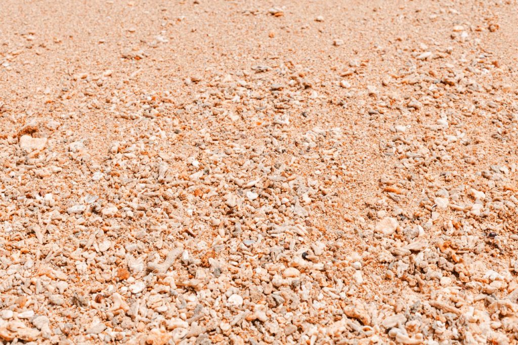sand soil